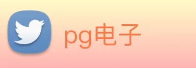pg电子 logo